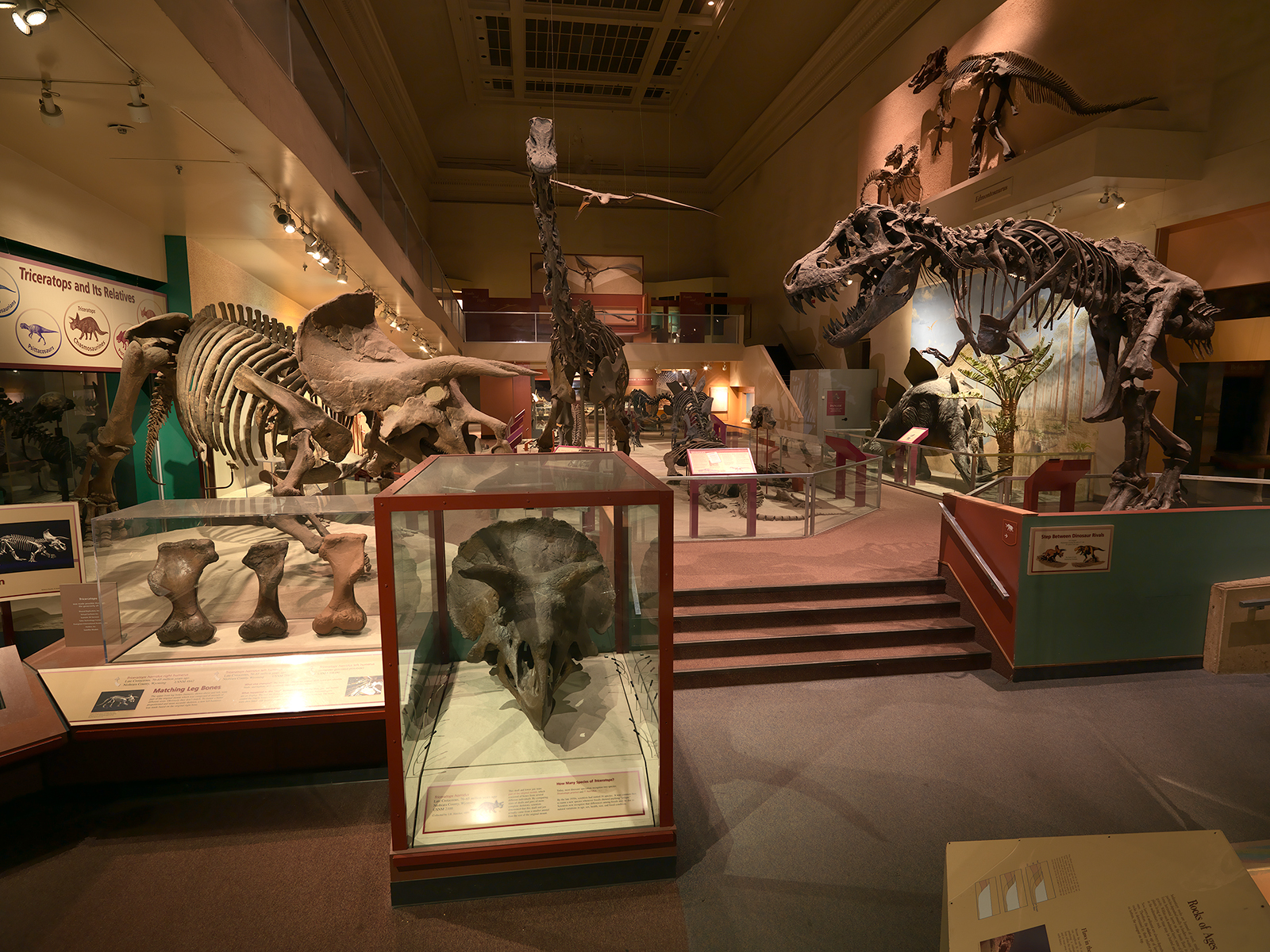 museum