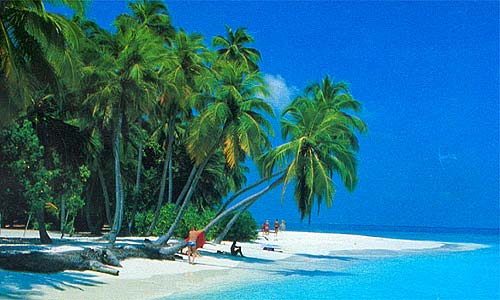 Riviera Maya Tourism Industry Explores Social Media
