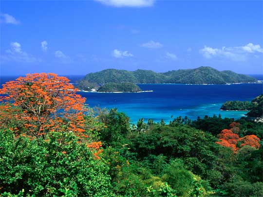 Tobagotrip.com to Expand Awareness for Tobago W.I. by Marketing Directly with Travel Agents in the US