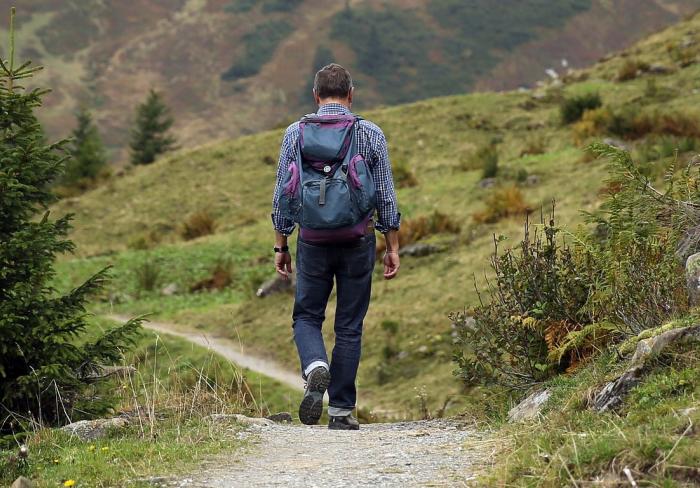 travel trends