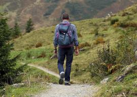 travel trends